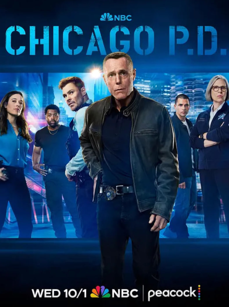 芝加哥警署 第十三季